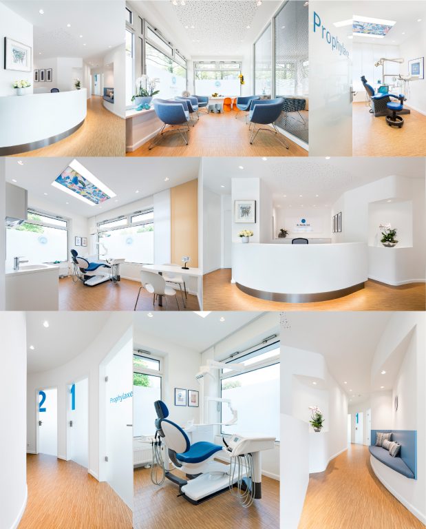Galerie-Bild